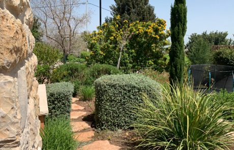 וילה פנאי וילת נופש בצפון גינה 12